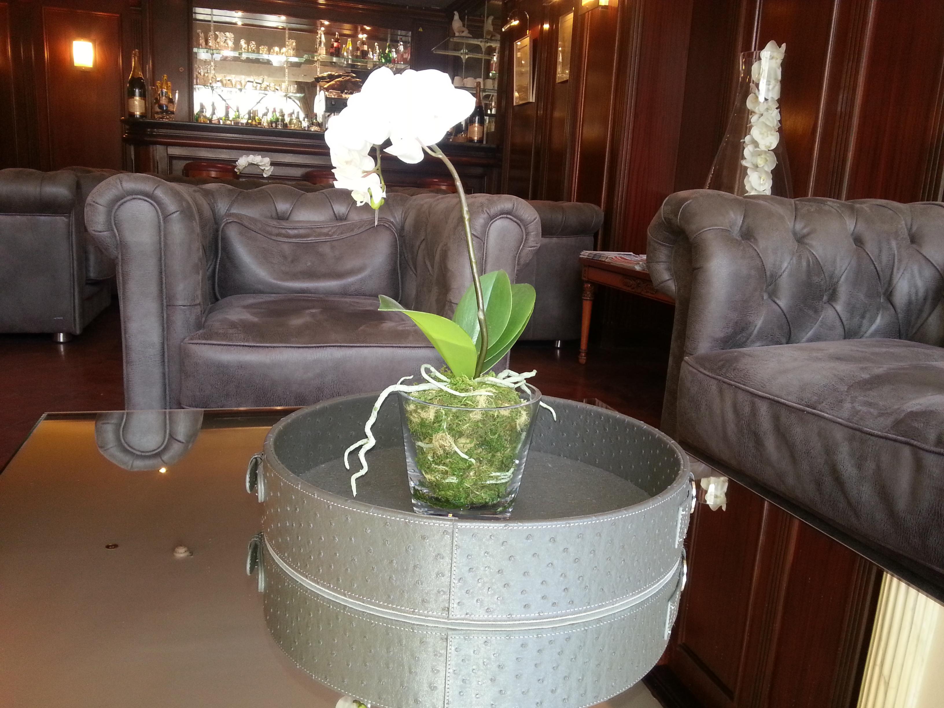 Hotel Derby Eiffel Paris Bagian luar foto